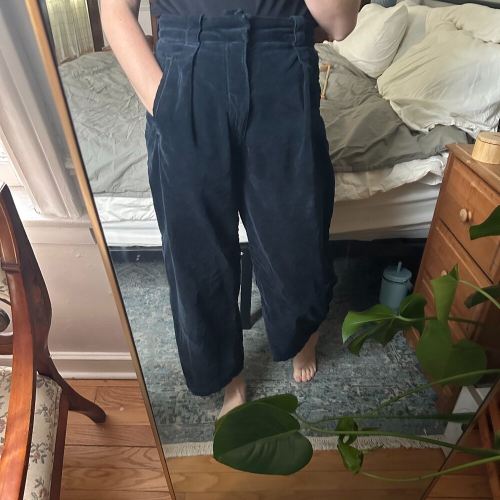 Citizens of Humanity Cara Cropped Pleated Pants Blue Corduroy